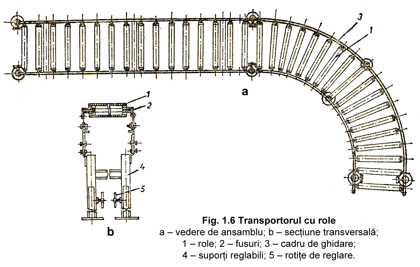 Fig. 1.6 Transportorul cu role